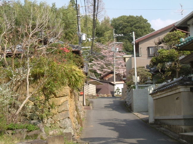 田原の里への道<br /><br />少し広い道に出たので、右（東）に折れる。多分この道が田原の里に通じる道だろう、と思った。