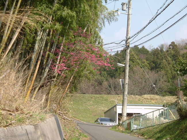 田原の里への山道<br /><br />これまで誰とも会わなかったので、道の確認をすることができなかったが、右前方の建物で作業をする人影を見かけたので、声を掛けた。「この道で田原の里に出ますか？」<br /><br />どのような返事が返ってくるのか？期待と不安が入り混ざった気持ちで、返事を待っていると、「出る！」とのこと。但し、歩いてなら、1時間は掛かるとのこと。<br /><br />これで田原西陵に行ける！1時間掛かろうが、2時間掛かろうが、平気だ！<br /><br />不安が取り除けたので、気持ちが軽くなった。時間の確認をすると、3時前だった。<br /><br />この山道は、一本道で、もう道に迷うこともなかった。奈良市街からだと、ほとんどが登り坂だった。また、舗装されており、時々車が通るが、大型トラックの通行に悩まされることはなかった。<br /><br />この山道の終わりに、道標が立っており、それによると、”東大寺二月堂お水取りの時の松明調達の道”と記されていた。