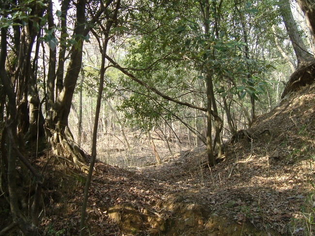 田原の里への山道