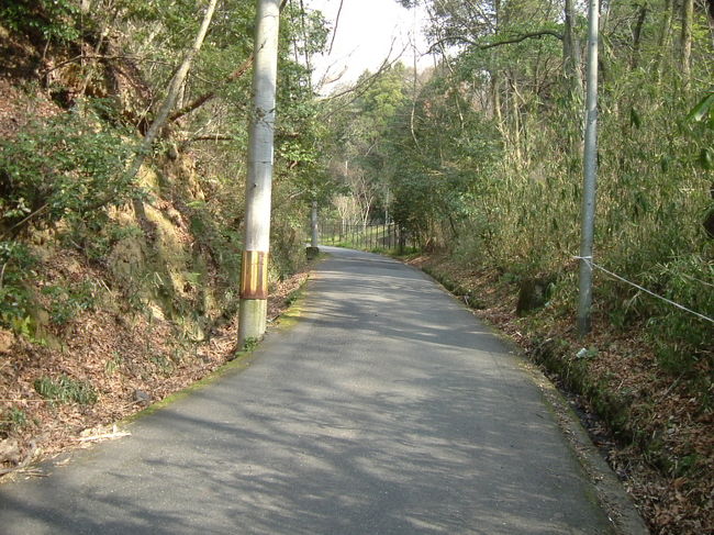 田原の里への山道