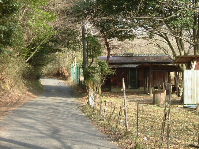 田原の里への山道<br /><br />1時間ほど歩かないといけないので、志貴皇子の別の歌を紹介しよう。<br /><br />巻１−６４<br /><br />　葦辺行く<br />　鴨の羽交（はがひ）に<br />　霜降りて<br />　寒き夕（ゆふべ）は<br />　大和し思ほゆ<br /><br />慶雲３年（７０６）、文武天皇の難波行幸にお供した折りの歌。<br /><br />万葉集を私に手ほどきしてくださった故犬養孝先生は、「鴨の羽交」というのは、鴨の羽と羽を背中であわせているのをいう。その羽に霜が降るなどということは、さわってみなければわからない。実際にさわると、鴨は逃げてしまう。現実的な人から見れば、こんなうそがあるものか、となってしまう。ところが、これこそが文学というもの、真実というものです、と解説してくださった。<br /><br />「鴨の羽交（はがひ）に霜降りて」は、まさに志貴皇子の非凡さを示している。凍てつく寒さを技巧を隠して、自然と感じさせる。<br /><br />しかし、志貴皇子が言いたかったのは、鴨が鳴き、夜のしんしんと更けてゆく、難波の海岸の風景だろうか？<br /><br />私は、難波の海岸の風景は、自分が置かれている逆境を暗示し、はんとうに言いたかったのは、「寒き夕（ゆふべ）は　大和し思ほゆ」の方ではないか、と考える。難波の凍てつく夕べに、ふと父と母の愛情に守られ育った幼少の頃を思い出し、胸が張り裂けんばかりになったのではないか。その思い出の地は飛鳥である。