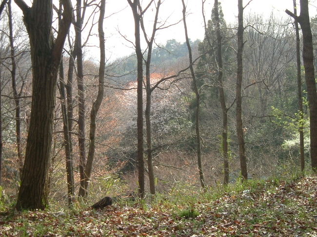田原の里への山道