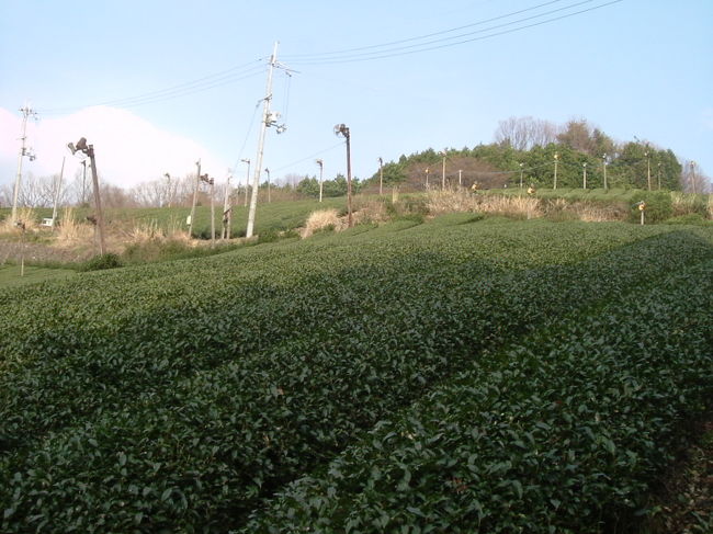 田原の里への山道