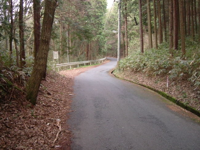 田原の里への山道<br /><br />このあたりから下り坂になりました。