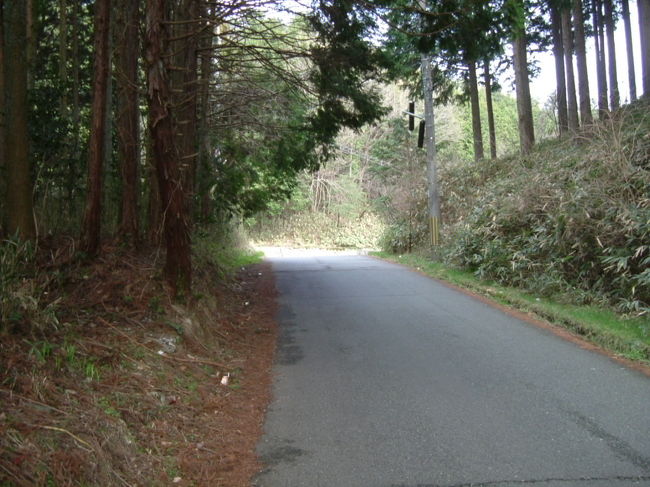 田原の里への山道<br /><br />前方に車の姿が見えました！出口です！田原の里にもう少しで入ります！