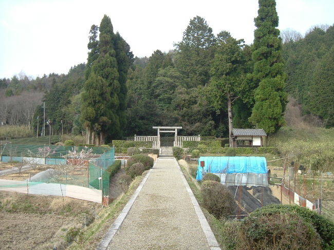 田原西陵<br /><br />スギとヒノキを従えた墳墓といった印象を受けた。どこか垢抜け、志貴皇子の万葉歌と同じように洗練されている。