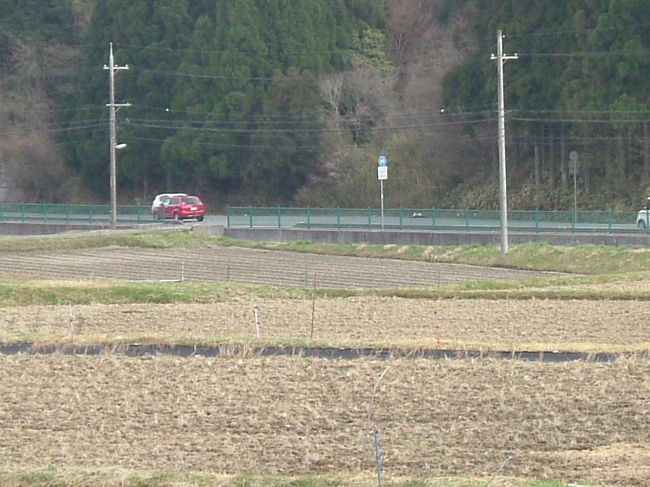 田原西陵<br /><br />北には幹線道路が通っている。