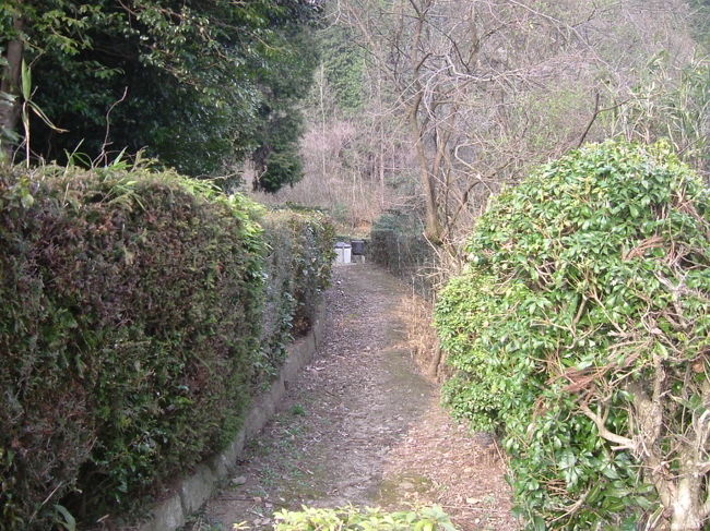 田原西陵<br /><br />墳墓の周りに小道があったので、一周した。