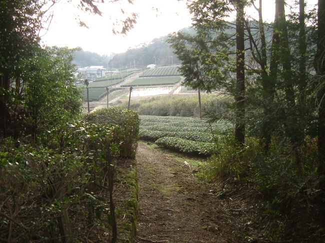 田原西陵<br /><br />墳墓の裏からの風景。