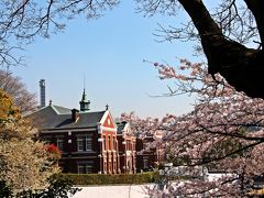 皇居の通り沿いには素敵な煉瓦つくりの洋館。
この建物は、東京国立近代美術館工芸館。

洋館にも桜は良く似合う。
