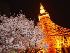 東京タワーへ移動・・・すでに疲れている。
だって千鳥ヶ淵の夜、人だらけで人酔いしました。