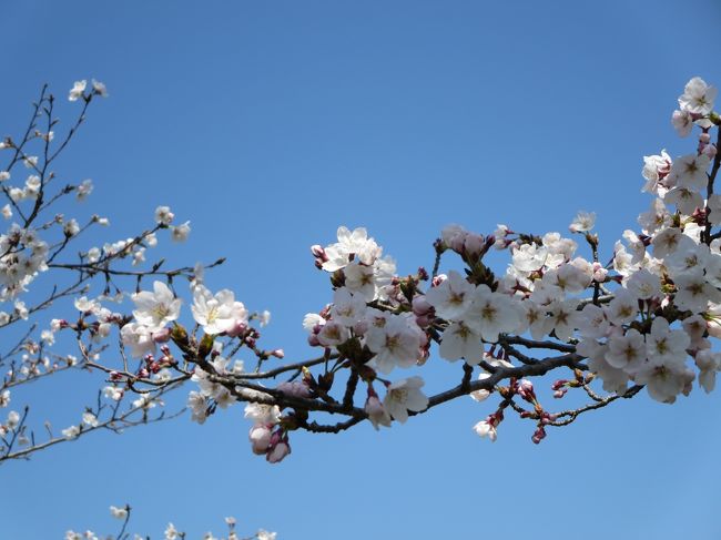 ２日は、予定があるし・・・