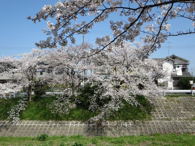 そんなにメジャーな場所じゃなかったのに、もう穴場ではなくなったのかな？