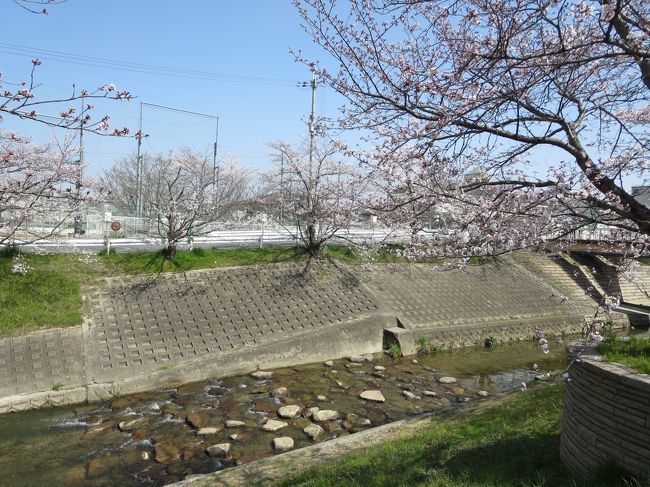 と思ったら、新大宮駅を降りて、皆さん逆方向へ！<br /><br />あ！そうか！木下大サーカスに行く人たちだったんだ〜♪<br />私も、行きました(^_^)v