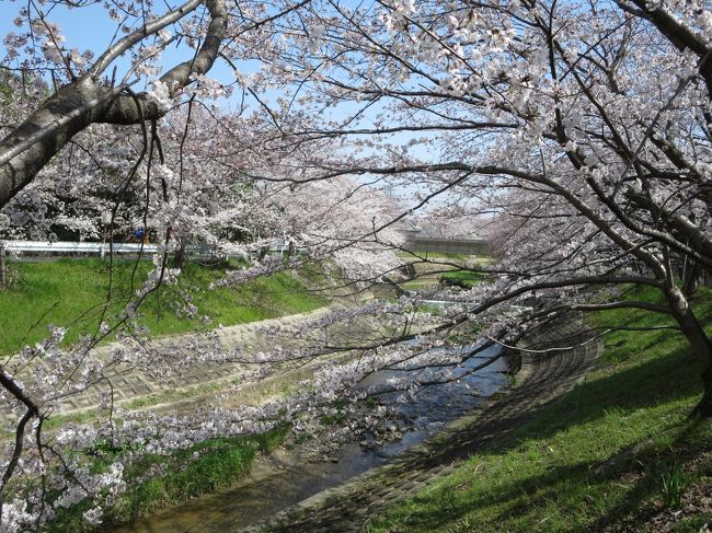 もしかして、外国の方のツアーに、ここが組みこまれてるの？<br /><br />