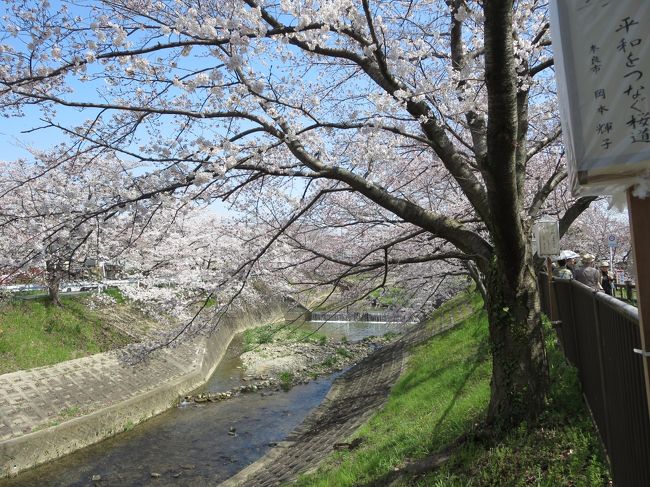 踏切の音が聞こえてきます。<br /><br />あ、電車撮らなくっちゃ！！！と、線路の方へ急いでみると・・・