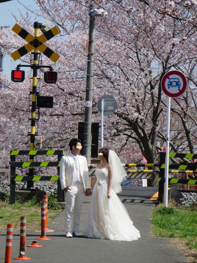 お！結婚式の写真を撮りに来てる！<br /><br />どうやら、このアジア系のカップルの結婚式の後、出席者全員で、佐保川に写真ついでに花見に来たようです。<br /><br />なるほど〜！！！それで、外国人の方が多かったんだ(*^_^*)