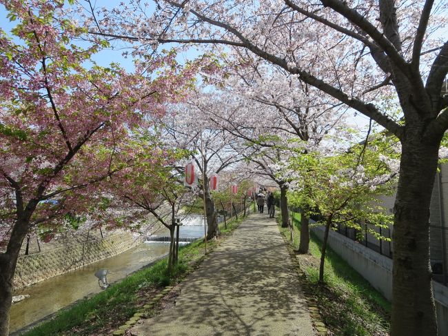 桜の時期は、川沿いの階段に座って、お弁当を食べてる会社員の方も、いらっしゃいます。