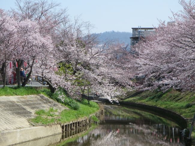 同じような写真ばかりで、申し訳ありません。<br /><br />