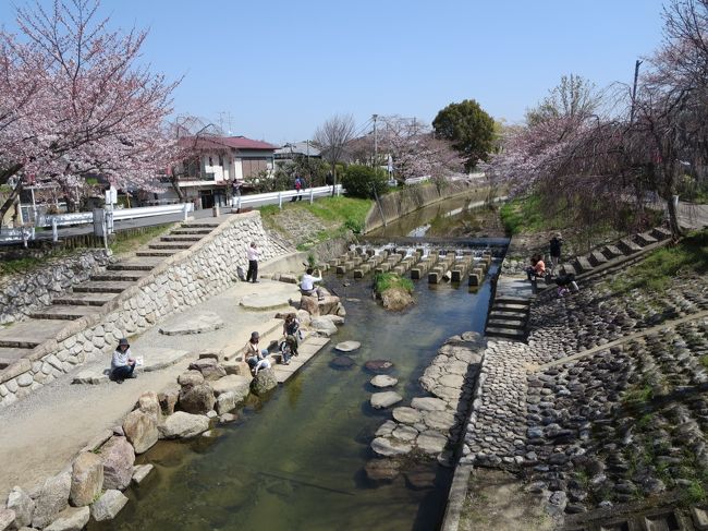 この飛び石の所、よく園児ちゃん達が遊んでるんですよ♪