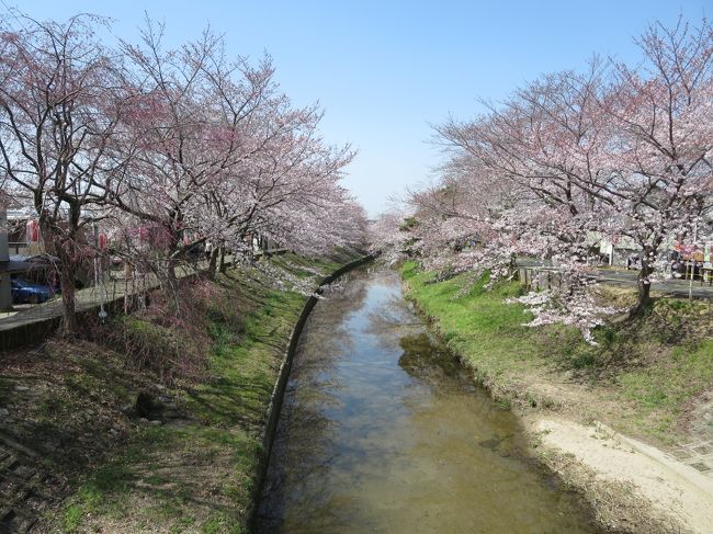 水は浅いので、クロックスで水の中に入っている小学生たちもいました。
