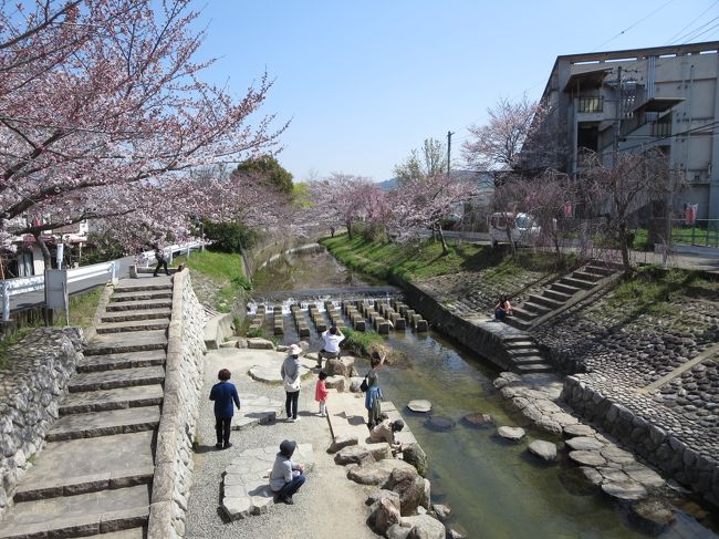 この時、時間は１１時すぎ。<br /><br />日差しは、かなりきつくなってきました。