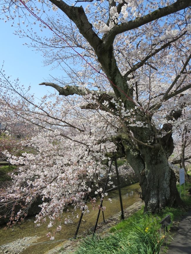 この近くに、募金箱があります。