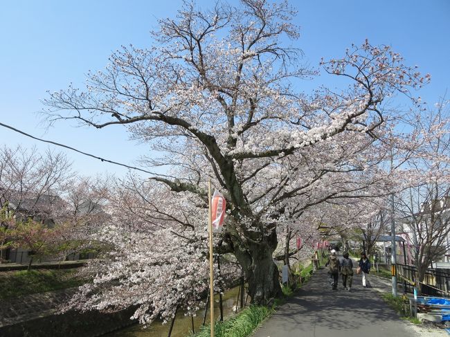 気持ちだけ、募金させていただきます♪