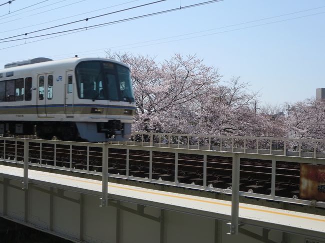 踏切まで帰ってきました。<br /><br />丁度電車が来るようなので、思わずパチリ♪<br /><br />うーーーーーん、ちょっとボケてしまいました(^_^;)