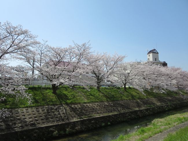 子どもたちの笑い声が、聞こえてきます♪<br /><br />