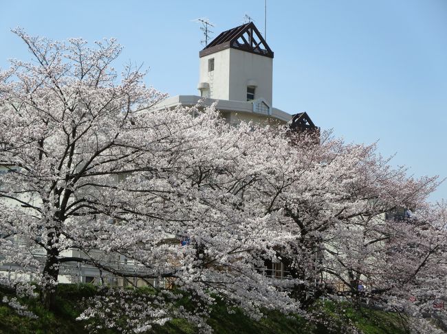 うぐいすの鳴き声も聞こえます♪