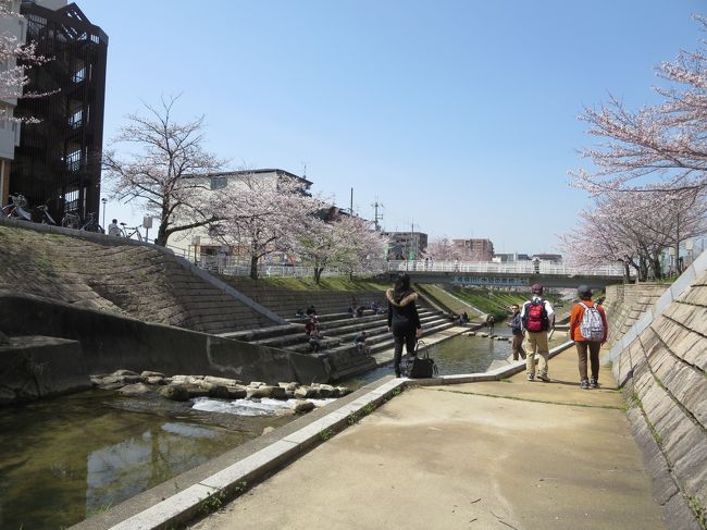 川沿いに降りてみます。