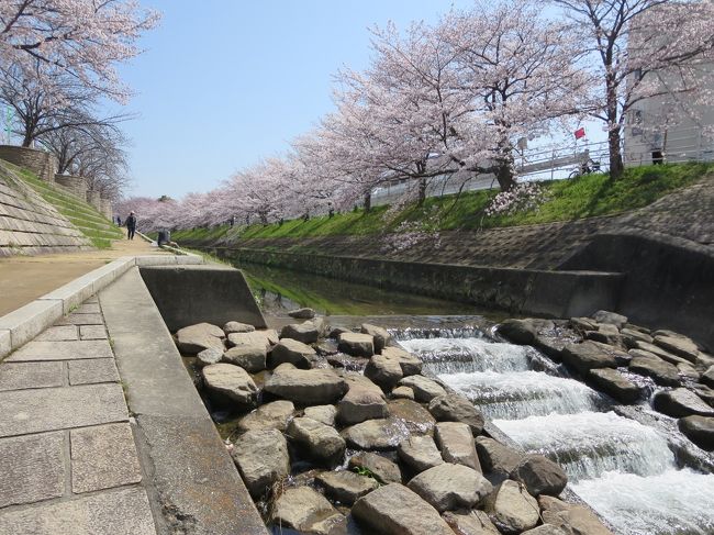 水を見てると、ちょっとだけ涼しい気分♪