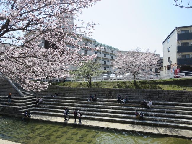 そろそろランチの時間が近づいてきました。