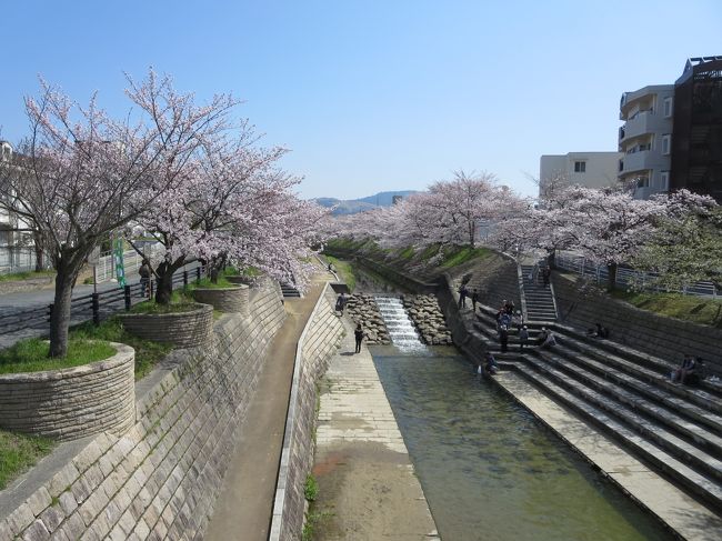 私たちも、そろそろ食べにいくことにします！