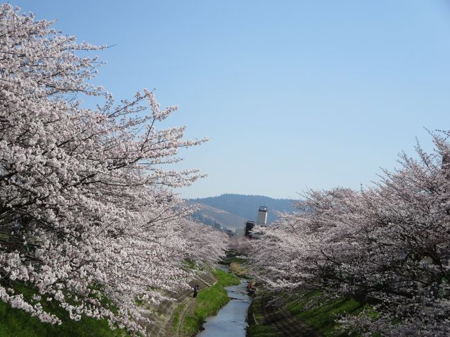 では、新大宮駅に向かいます。