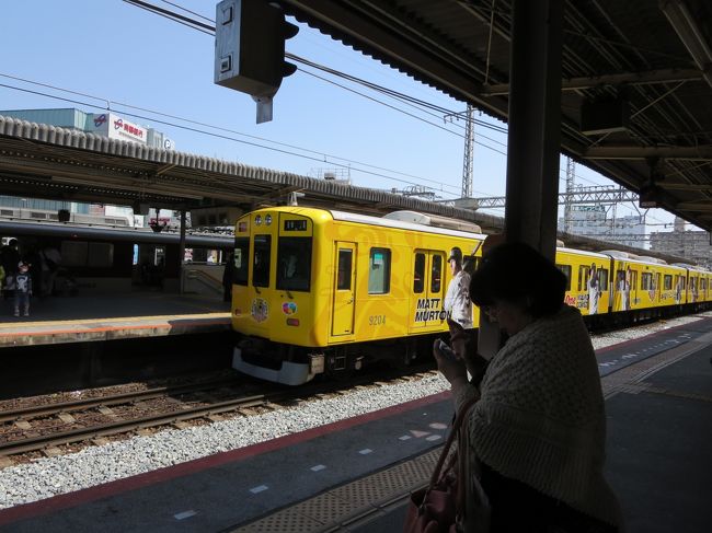 桜いっぱいの、素敵な１日になりましたヽ(^o^)丿