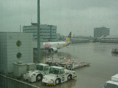 雨の羽田空港