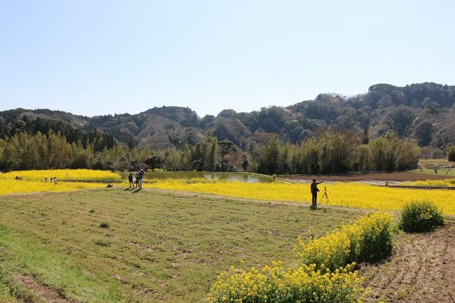 「小茶自動車」裏にお花畑があります。ちゃんと人がいるじゃん。