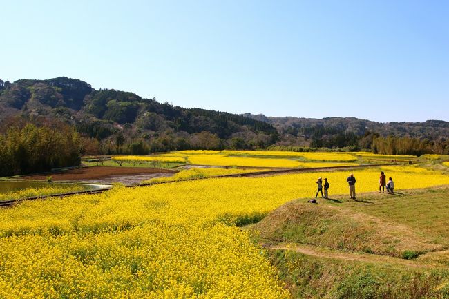 おおっ！すごい！