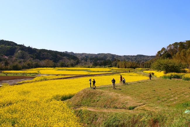 一眼レフカメラを持った人もたくさんいました。<br />コンデジだと見栄えが悪いかな。