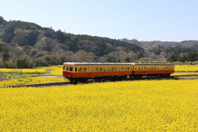 2時間に1回くらいしか来ないので撮り鉄はこの一瞬にすべてをかけているんですね。