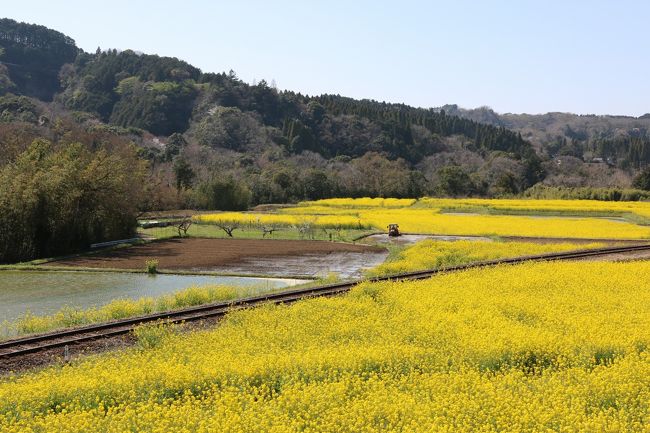 田植えの準備中。やっぱりこいう日本の風景は良いですね。
