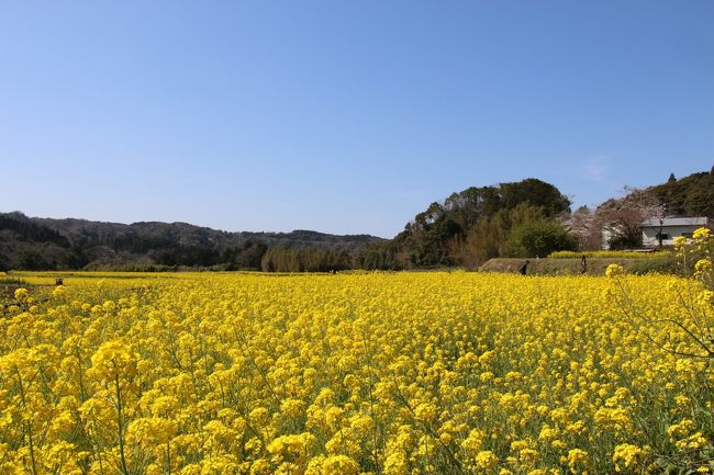 下まで降りてみました。撮り鉄に文句を言われたら戦う覚悟です。