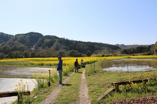 身構える撮り鉄達。今度は別方向から来る電車をねらっているようです。