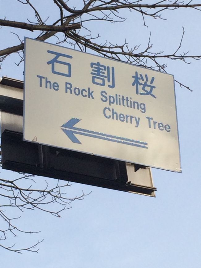 上を見ると…標識が…