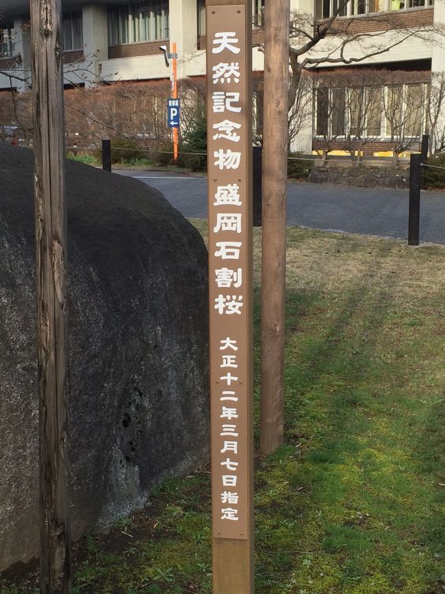 大正時代に天然記念物になった模様