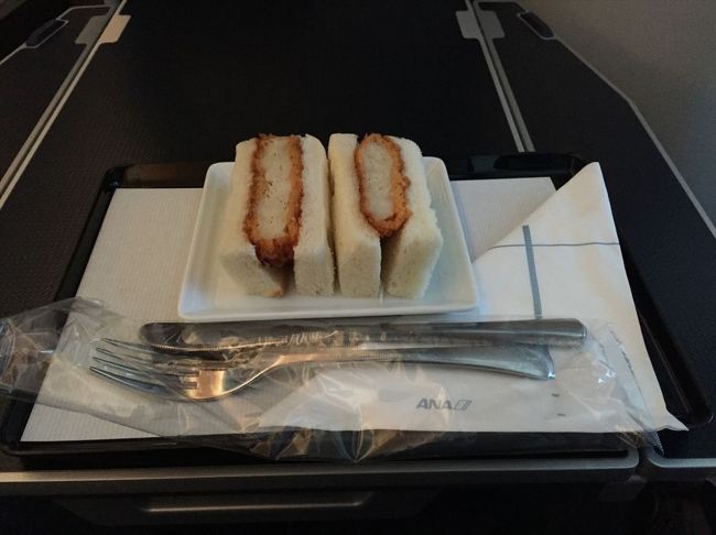 注文すると、このようなものまで提供してくれます。そうそう、ビジネスのトイレって、窓付き、ウォシュレット付き、歯ブラシ付き…すげ〜〜。こんなもんにしょっちゅう乗っていたら、人間、勘違いもするわなぁ…と思いながら、混沌たる地上に降り立つのでありました。ホテルに送迎を頼んであったので、自分の名前が書かれたカードを探します。んが、みなさん、アピールの度合いがすごくて怖いです。<br />