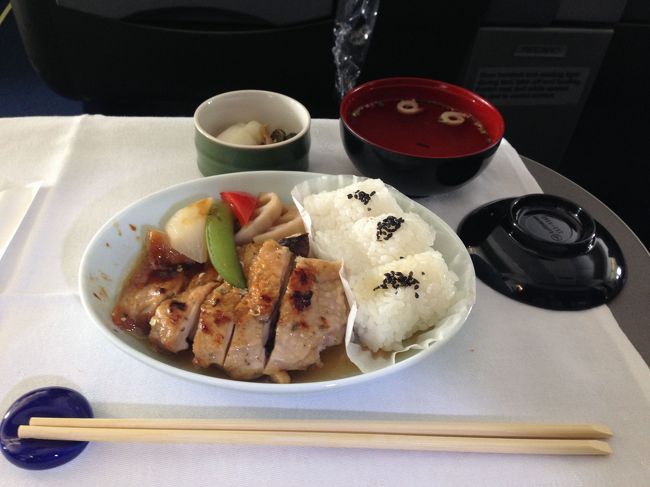 フランクフルトでの乗り継ぎ時間は、７０分。少し遅れたので必死で移動。２５分前に搭乗口に到着。フランクフルトは広いから疲れるわ。<br />　プラハで降りた際ガイドブックを飛行機内に忘れてしまった。途中引き返そうとしたが、職員に止められた。ま、当然か。最後まで待ってやっと引き取ることができた。あれがないと大変なことになってたので冷や汗もんだった。