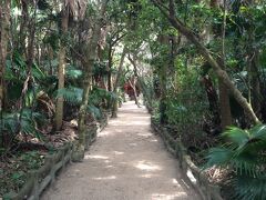 青島神社の中には、こんなジャングルチックなとこもあります。